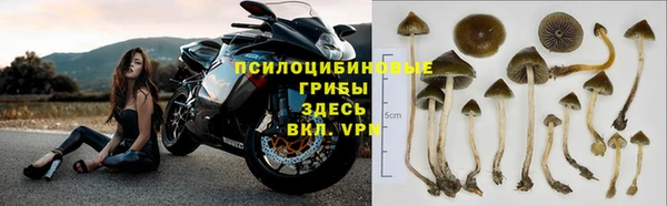 прущая мука Белоозёрский