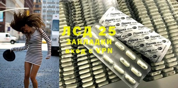 mdpv Богородицк