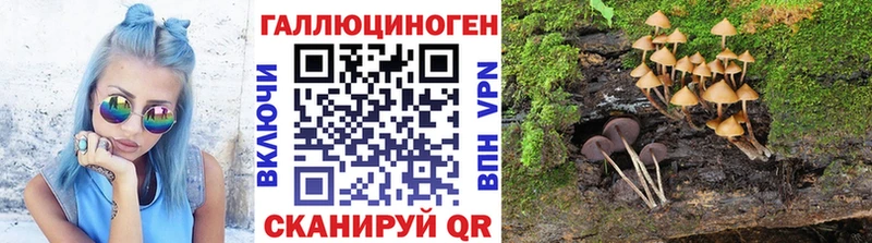 Галлюциногенные грибы Psilocybine cubensis  что такое наркотик  Дагестанские Огни 